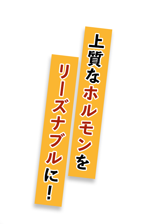 上質なホルモンを リーズナブルに！