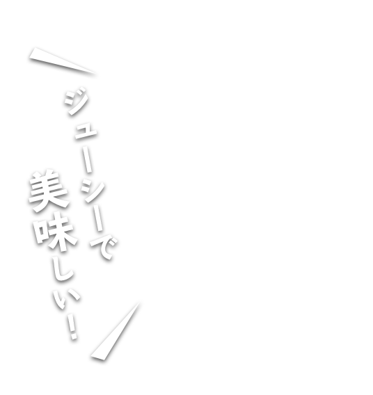 ジューシーで美味しい